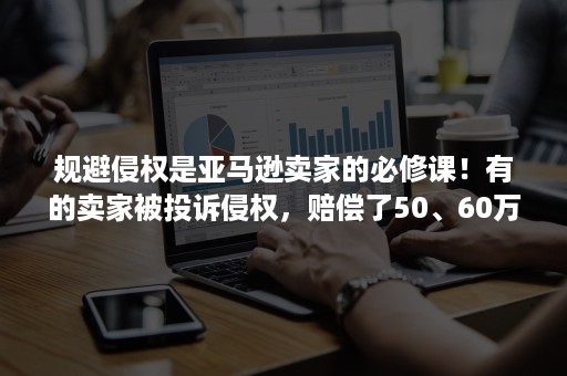 规避侵权是亚马逊卖家的必修课！有的卖家被投诉侵权，赔偿了50、60万元才保住了店铺