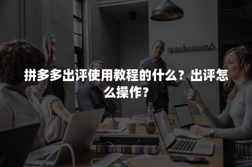 拼多多出评使用教程的什么？出评怎么操作？