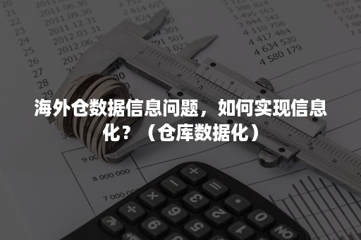 海外仓数据信息问题，如何实现信息化？（仓库数据化）