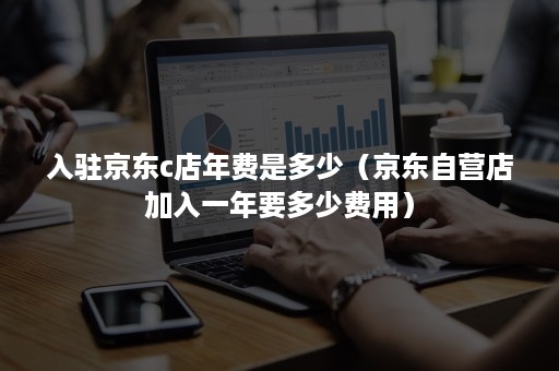 入驻京东c店年费是多少（京东自营店加入一年要多少费用）