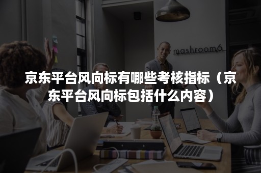 京东平台风向标有哪些考核指标(京东平台风向标包括什么内容) 京东平台风向标有哪些考核指标(京东平台风向标包括什么内容)