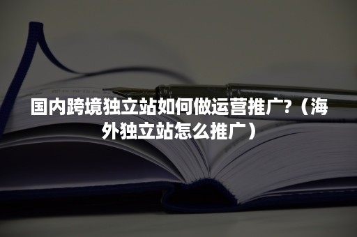 国内跨境独立站如何做运营推广?（海外独立站怎么推广）