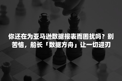 你还在为亚马逊数据报表而困扰吗？别苦恼，船长「数据方舟」让一切迎刃而解！