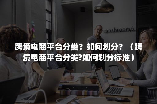 跨境电商平台分类？如何划分？（跨境电商平台分类?如何划分标准）