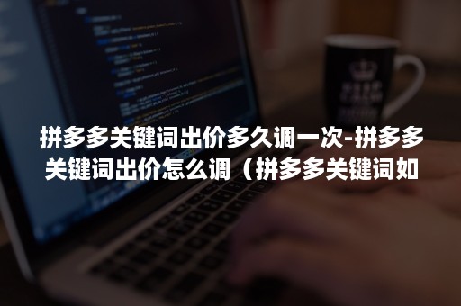 拼多多关键词出价多久调一次-拼多多关键词出价怎么调（拼多多关键词如何调价）