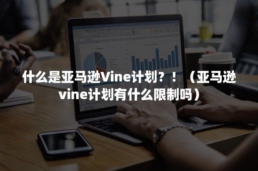 什么是亚马逊Vine计划？！（亚马逊vine计划有什么限制吗）