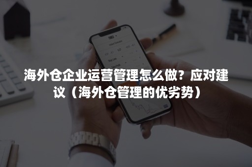 海外仓企业运营管理怎么做？应对建议（海外仓管理的优劣势）