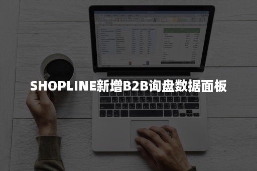 SHOPLINE新增B2B询盘数据面板