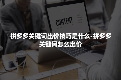 拼多多关键词出价技巧是什么-拼多多关键词怎么出价