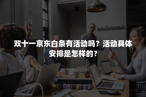 双十一京东白条有活动吗？活动具体安排是怎样的？