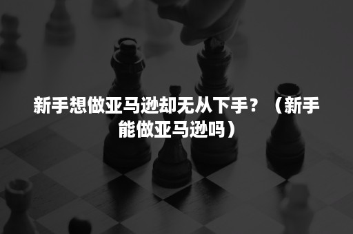 新手想做亚马逊却无从下手？（新手能做亚马逊吗）