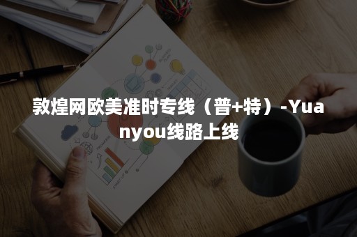 敦煌网欧美准时专线（普+特）-Yuanyou线路上线