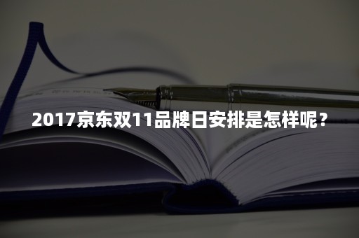 2017京东双11品牌日安排是怎样呢？