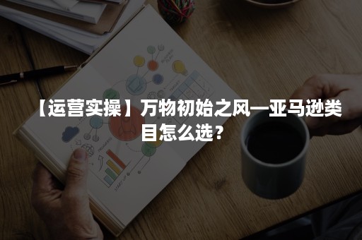 【运营实操】万物初始之风—亚马逊类目怎么选？