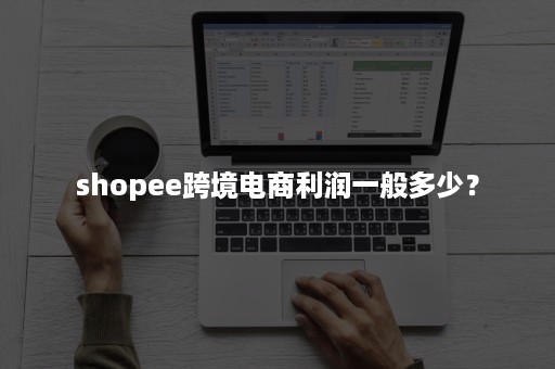 shopee跨境电商利润一般多少？
