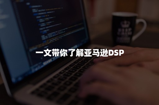 一文带你了解亚马逊DSP