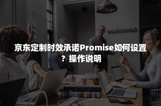 京东定制时效承诺Promise如何设置？操作说明