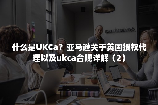 什么是UKCa？亚马逊关于英国授权代理以及ukca合规详解（2）