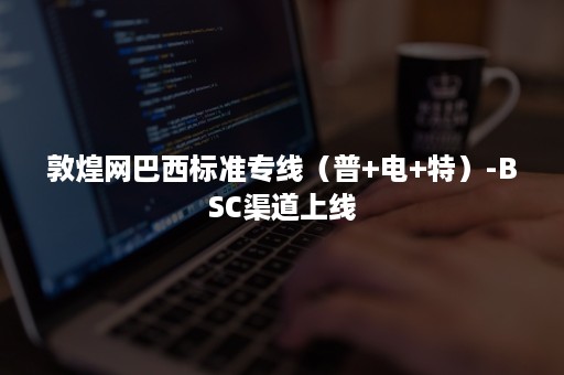 敦煌网巴西标准专线（普+电+特）-BSC渠道上线