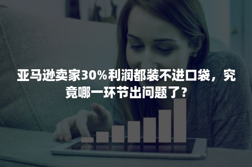 亚马逊卖家30%利润都装不进口袋，究竟哪一环节出问题了？