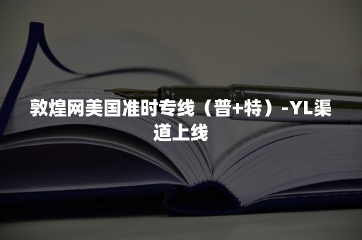 敦煌网美国准时专线（普+特）-YL渠道上线