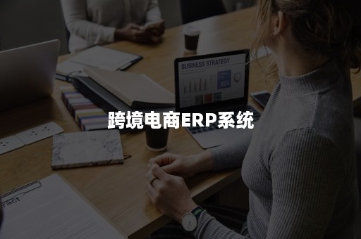 跨境电商ERP系统