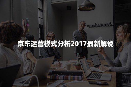 京东运营模式分析2017最新解说