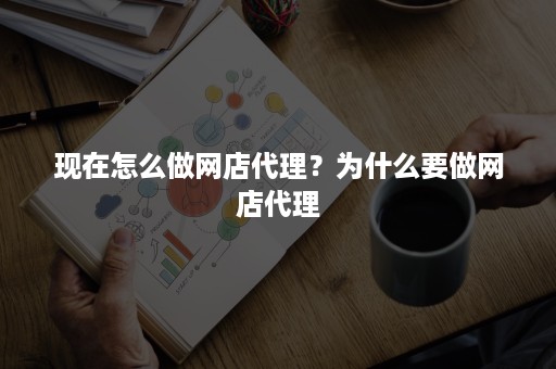 现在怎么做网店代理？为什么要做网店代理