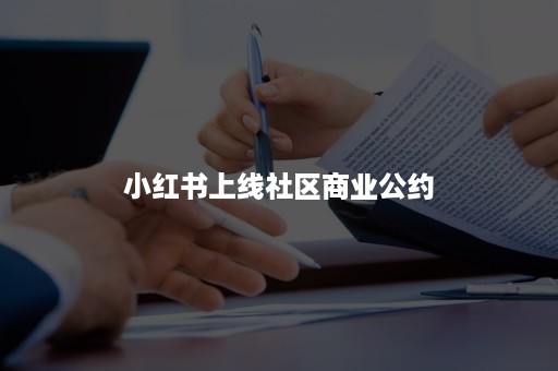 小红书上线社区商业公约