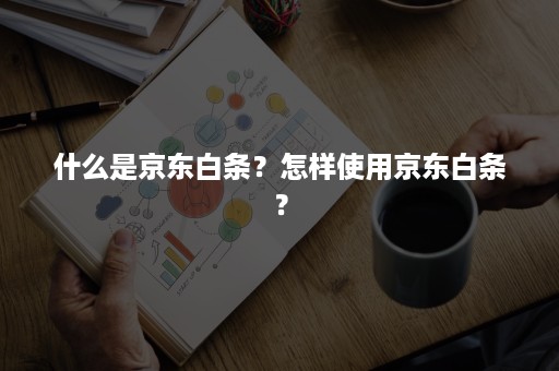 什么是京东白条？怎样使用京东白条？