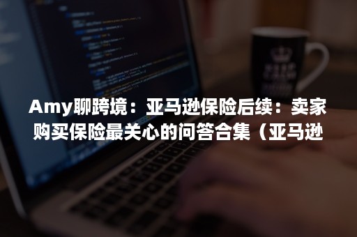 Amy聊跨境：亚马逊保险后续：卖家购买保险最关心的问答合集（亚马逊的产品保险有什么要求）