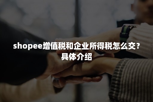 shopee增值税和企业所得税怎么交？具体介绍