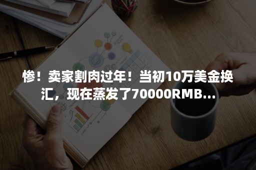 惨！卖家割肉过年！当初10万美金换汇，现在蒸发了70000RMB...