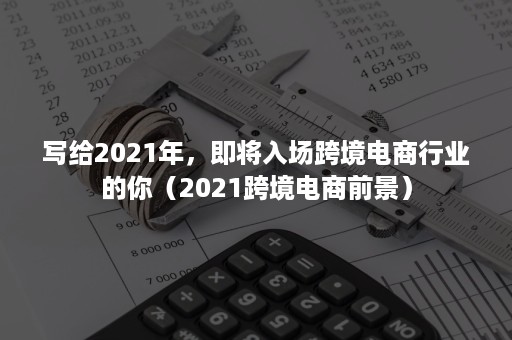 写给2021年，即将入场跨境电商行业的你（2021跨境电商前景）