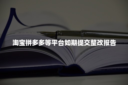 淘宝拼多多等平台如期提交整改报告