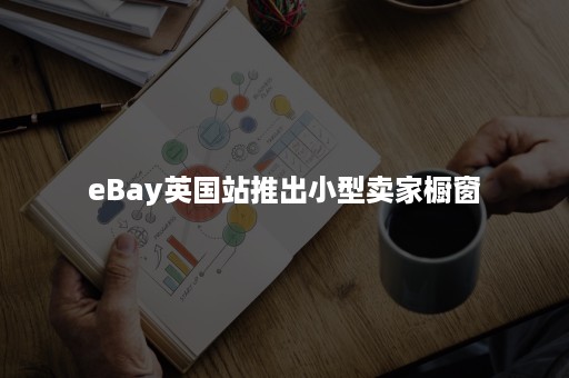 eBay英国站推出小型卖家橱窗