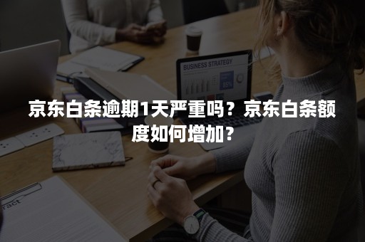 京东白条逾期1天严重吗？京东白条额度如何增加？