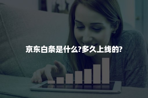 京东白条是什么?多久上线的?