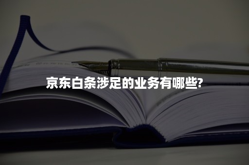 京东白条涉足的业务有哪些?