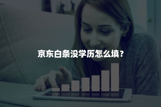 京东白条没学历怎么填？