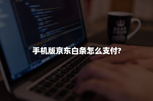 手机版京东白条怎么支付?