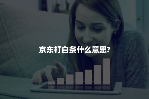 京东打白条什么意思?