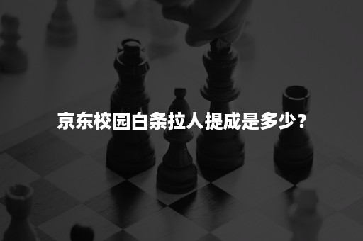 京东校园白条拉人提成是多少？