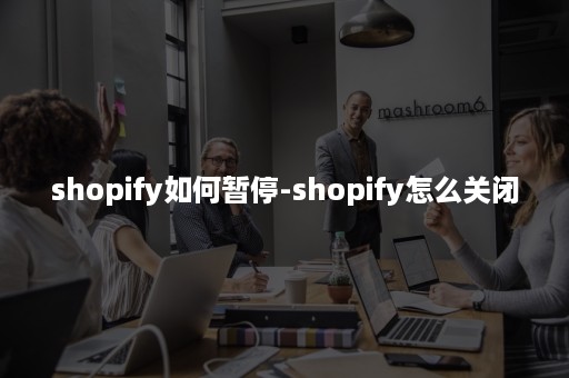 shopify如何暂停-shopify怎么关闭