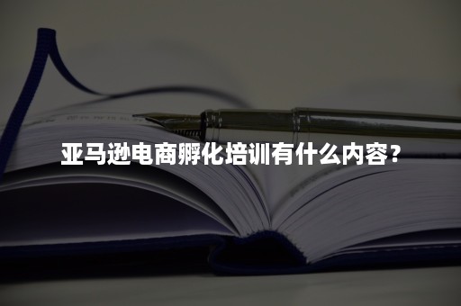 亚马逊电商孵化培训有什么内容？