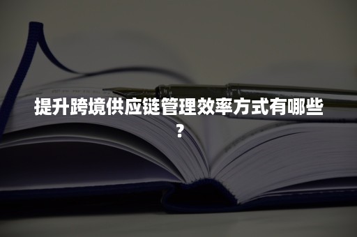 提升跨境供应链管理效率方式有哪些？