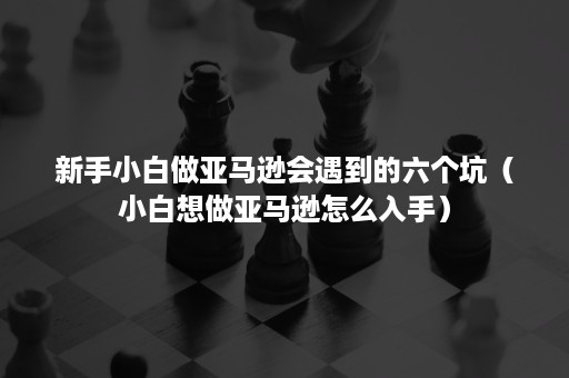 新手小白做亚马逊会遇到的六个坑（小白想做亚马逊怎么入手）