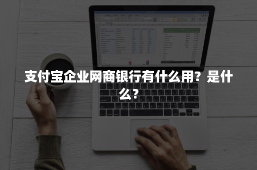 支付宝企业网商银行有什么用？是什么？