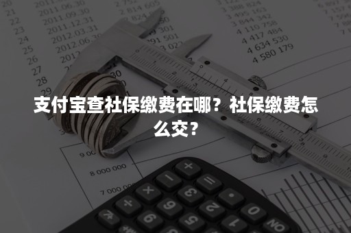 支付宝查社保缴费在哪？社保缴费怎么交？