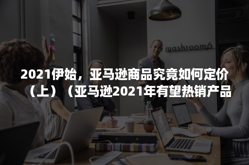 2021伊始，亚马逊商品究竟如何定价（上）（亚马逊2021年有望热销产品）